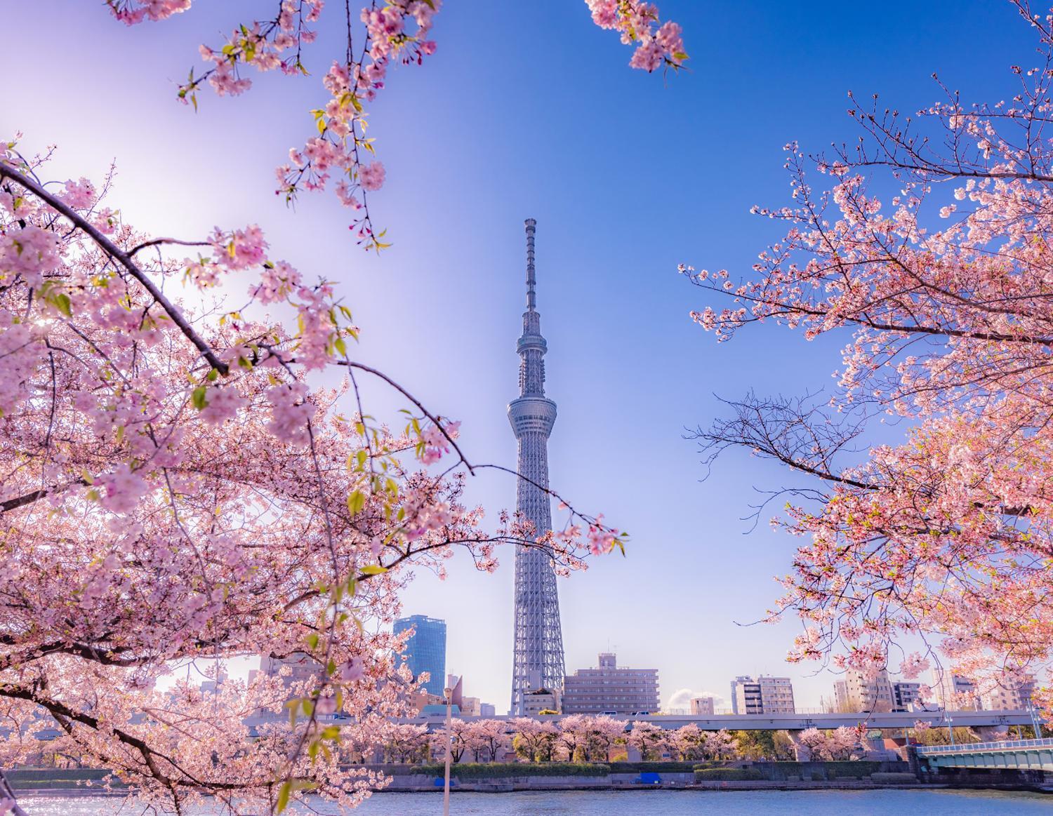 Grand Tree Hotel Skytree View Rooftop Asakusa Walk Tokyo Ngoại thất bức ảnh